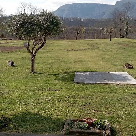 Affittacamere La Foresta Di Sopra Барга Экстерьер фото