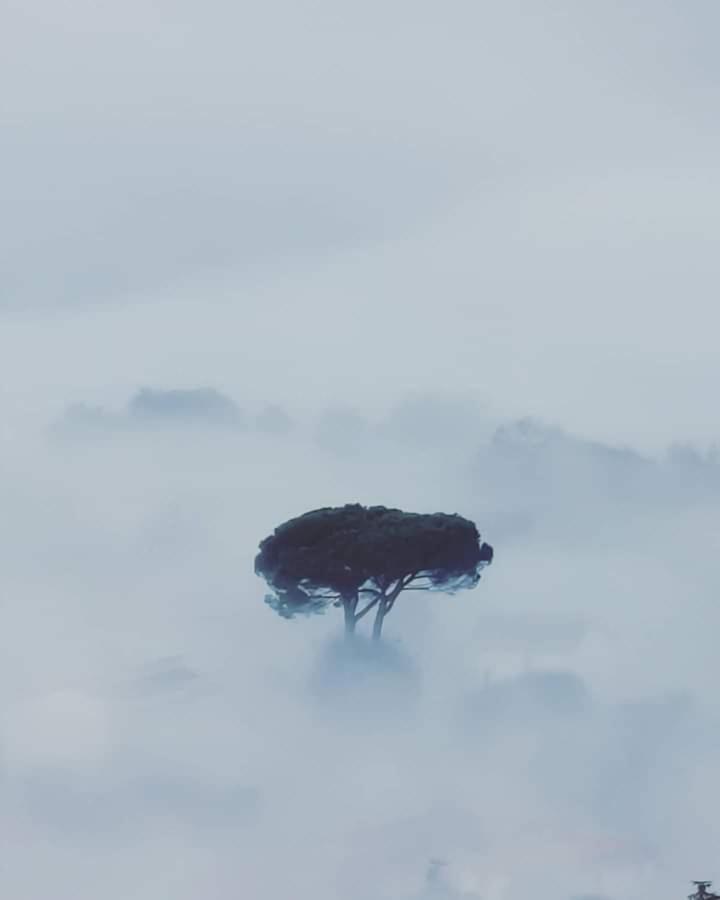 Affittacamere La Foresta Di Sopra Барга Экстерьер фото