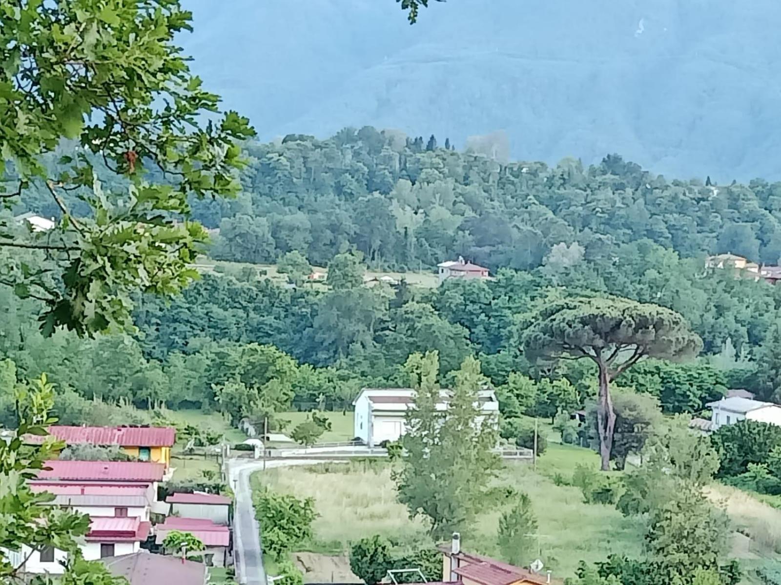 Affittacamere La Foresta Di Sopra Барга Экстерьер фото